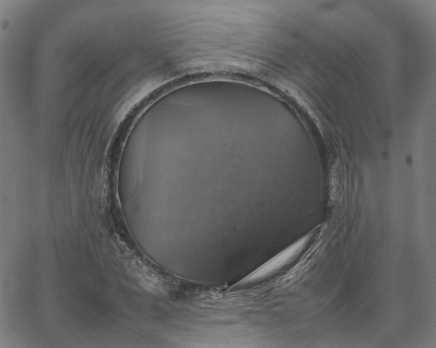 X0000067890975200604201305