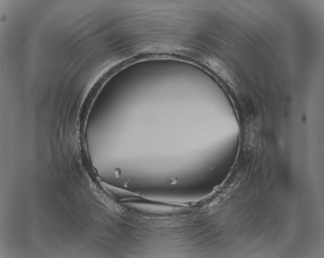 X0000067890976200604201305