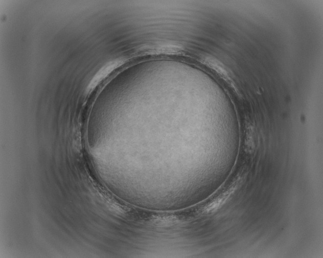 X0000067890978200604201305