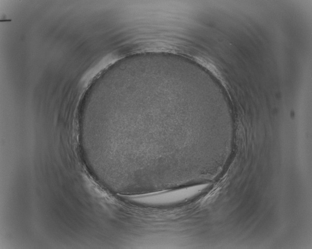 X0000067890979200604201305