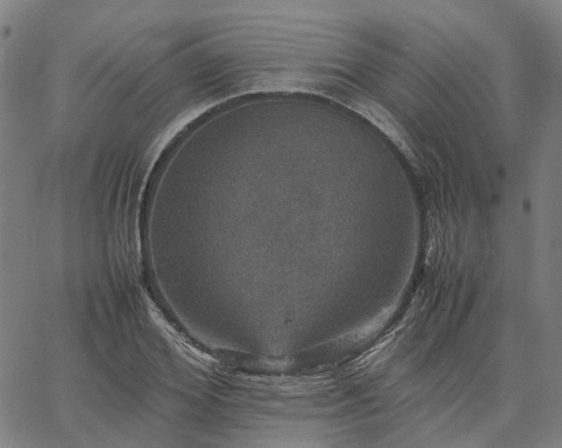 X0000067890980200604201305