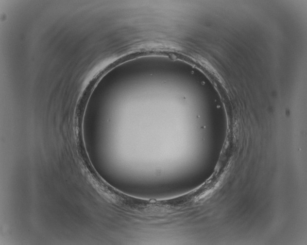 X0000067890981200604201305