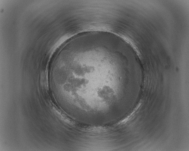 X0000067890982200604201305