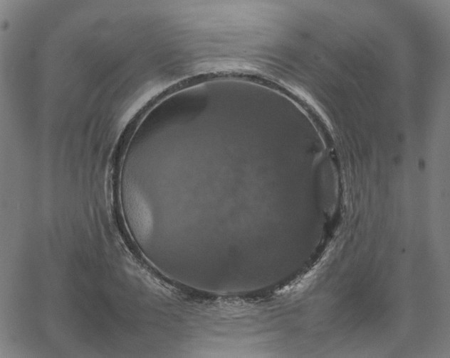 X0000067890983200604201305