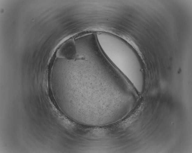 X0000067890984200604201304