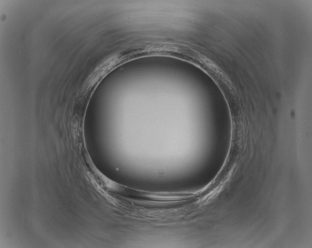 X0000067890985200604201304