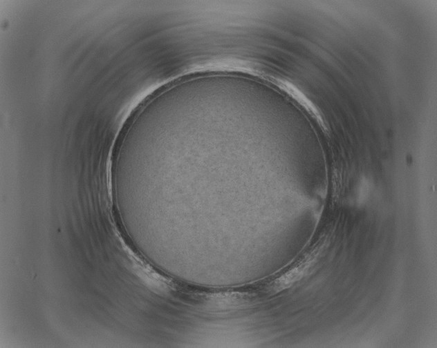 X0000067890988200604201304