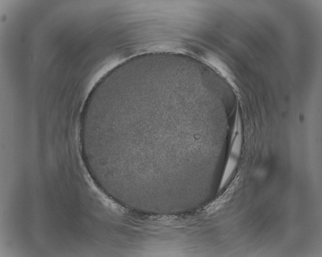 X0000067890991200604201304