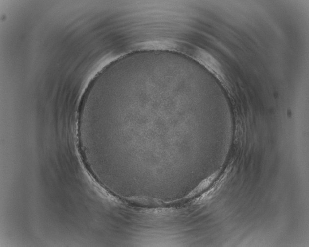 X0000067890992200604201304