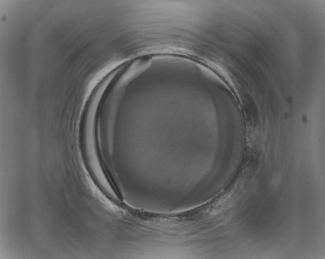 X0000067890995200604201304