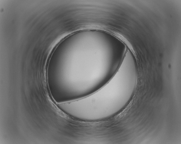 X0000067890996200604201304