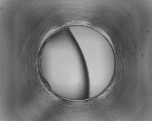 X0000067890997200604201304