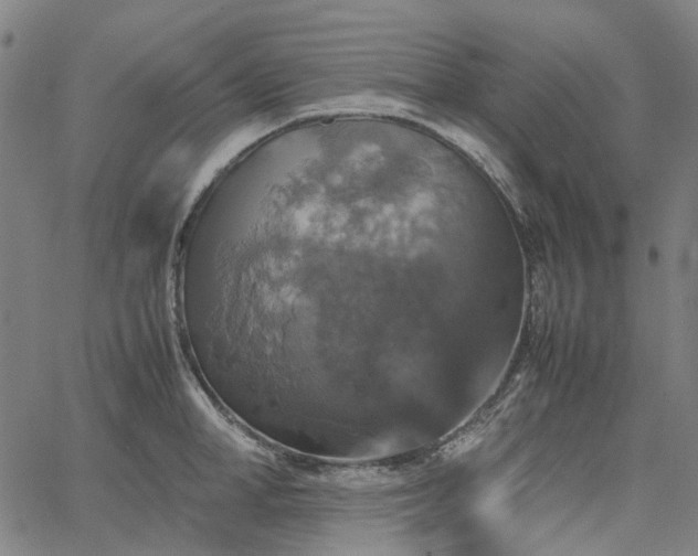 X0000067890998200604201304