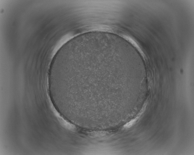 X0000067890999200604201304