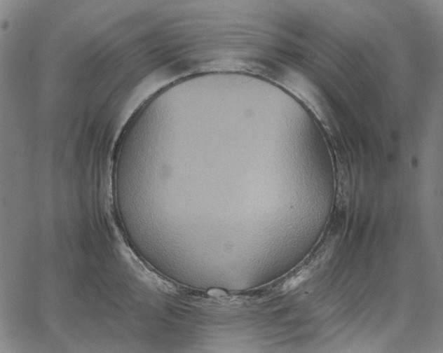 X0000067891000200604201304