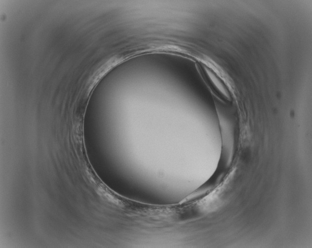 X0000067891001200604201304