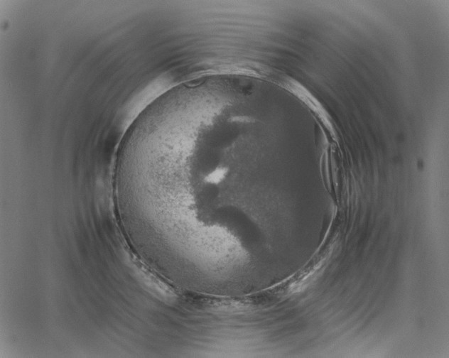 X0000067891002200604201304