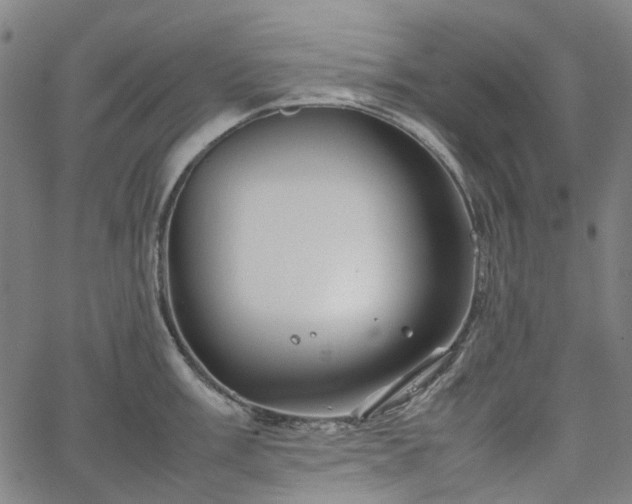 X0000067891003200604201304