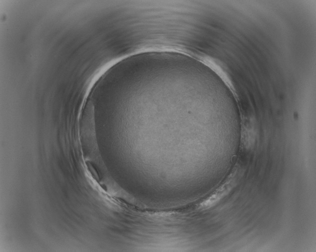 X0000067891004200604201304