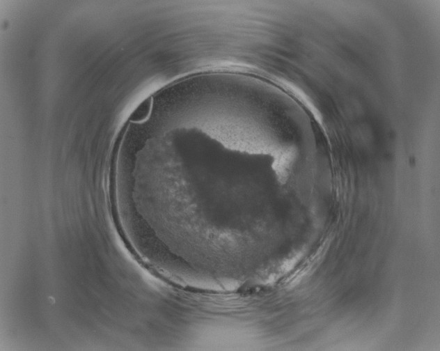 X0000067891007200604201304