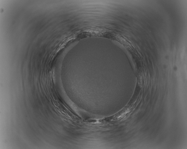 X0000067891010200604201303