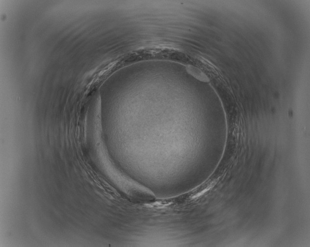 X0000067891014200604201303