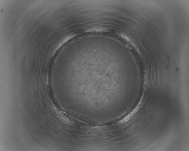 X0000067891017200604201303