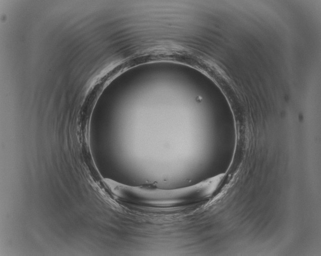 X0000067891018200604201303