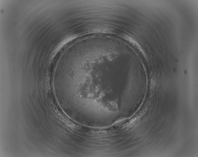 X0000067891019200604201303