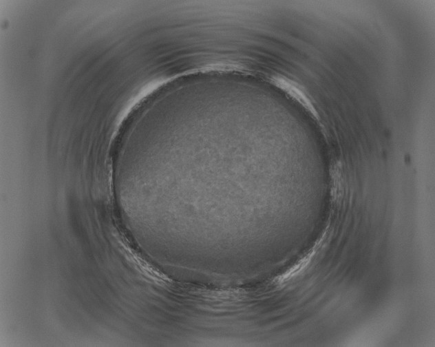 X0000067891021200604201304