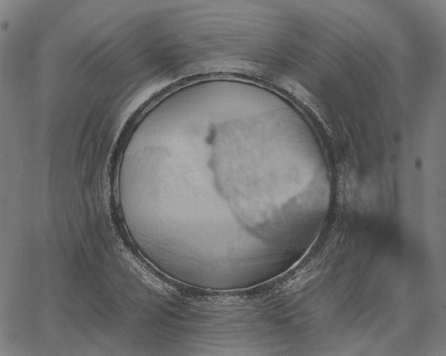 X0000067891024200604201304