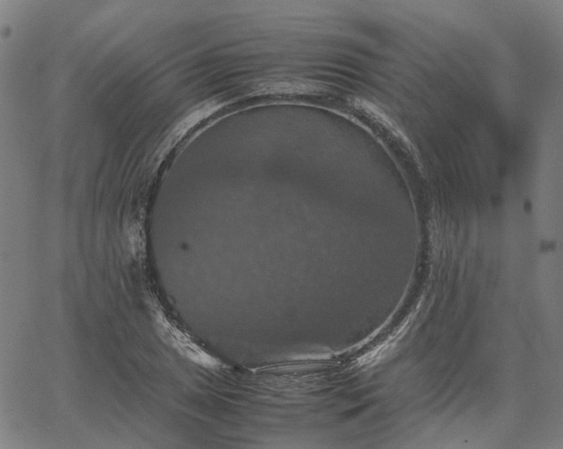 X0000067891025200604201304