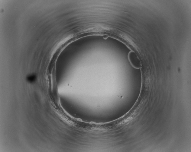 X0000067891026200604201304