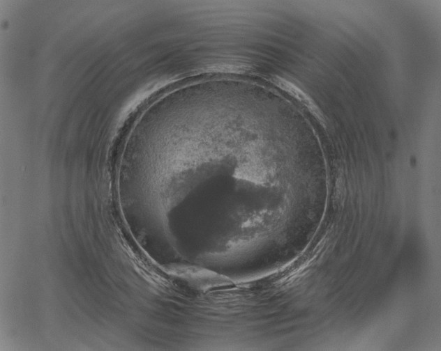 X0000067891027200604201304