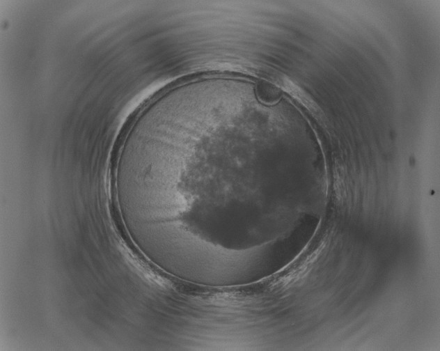 X0000067891028200604201304