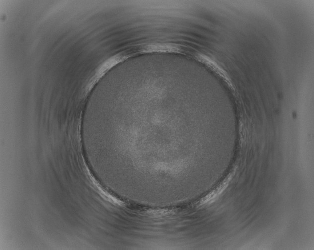 X0000067891033200604201304