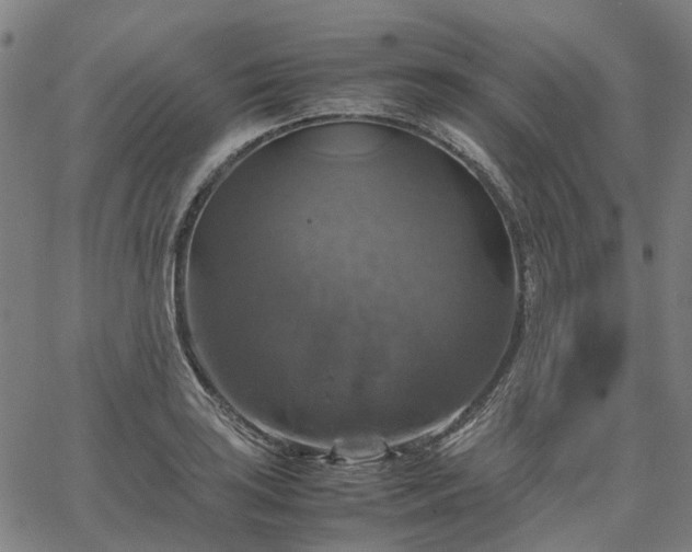 X0000067891035200604201304