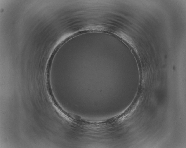 X0000067891037200604201304