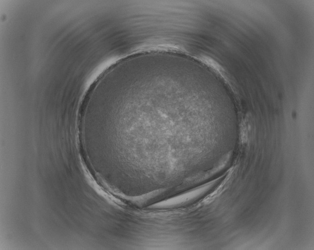 X0000067891038200604201304