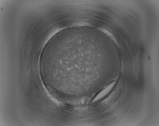 X0000067891039200604201304