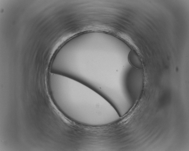 X0000067891040200604201304