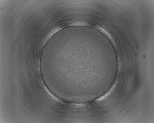 X0000067891041200604201304