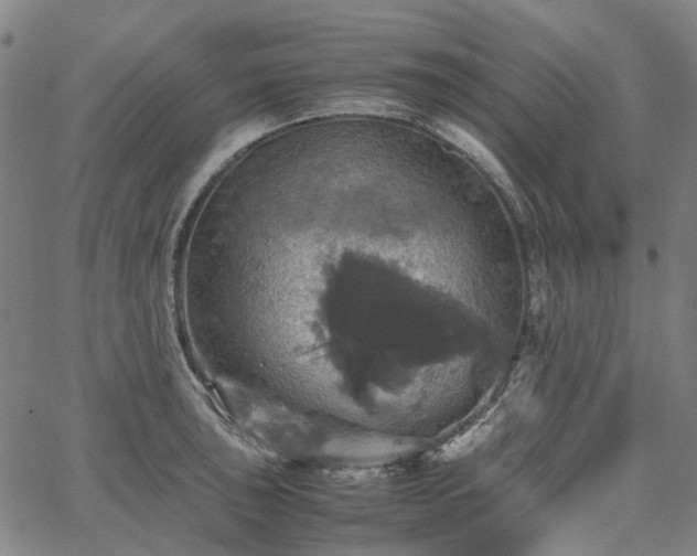 X0000067891043200604201304