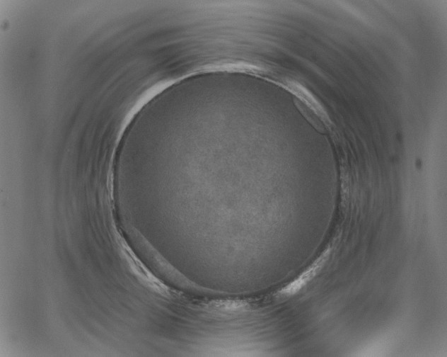 X0000067891044200604201304