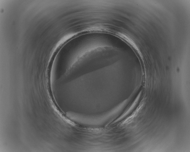 X0000067891045200604201304