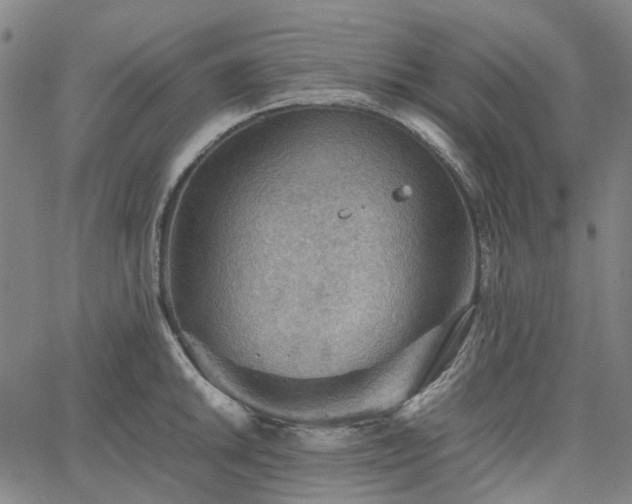 X0000067891046200604201304