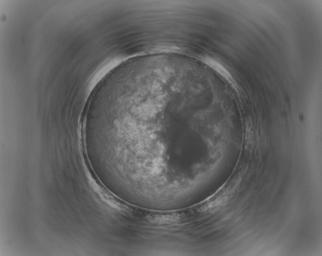 X0000067891047200604201304