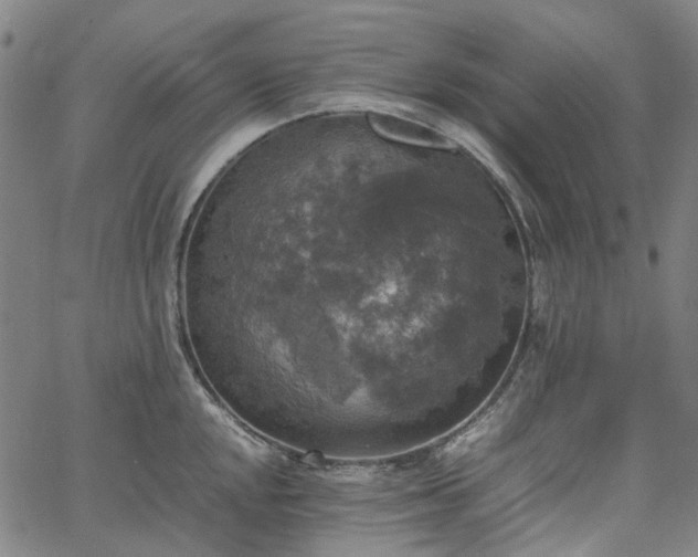 X0000067891048200604201304