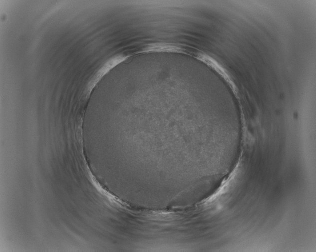 X0000067891049200604201304