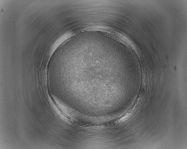 X0000067891050200604201304